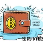 常见的加密货币钱包安全漏洞有哪些？